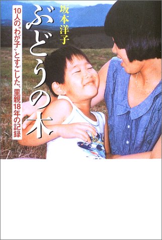 ぶどうの木―10人の“わが子”とすごした、里親18年の記録 Books