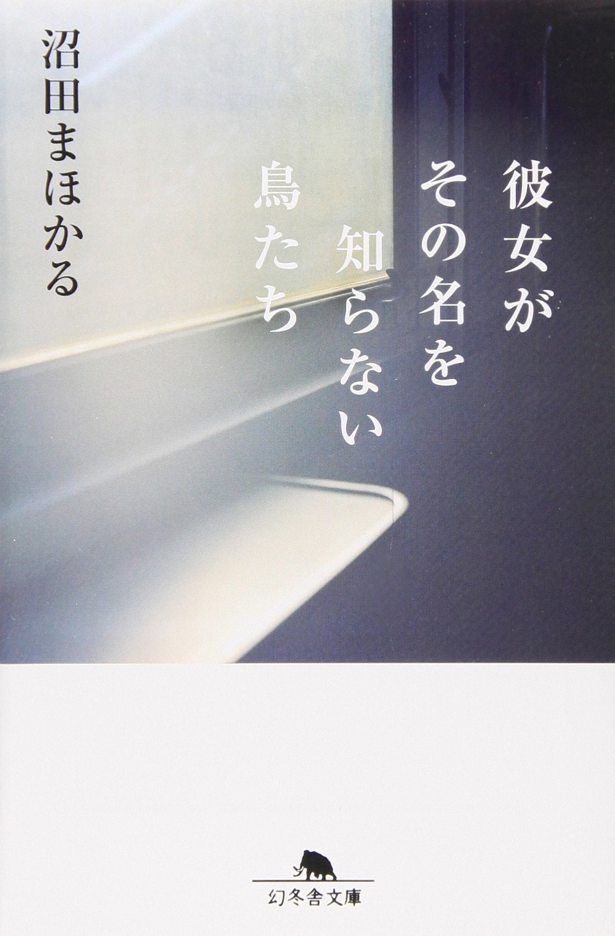 彼女がその名を知らない鳥たち (幻冬舎文庫) Books