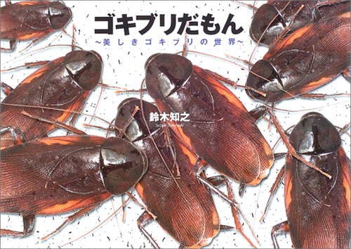 ゴキブリだもん―美しきゴキブリの世界 Books