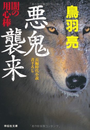 悪鬼襲来: 闇の用心棒 (祥伝社文庫) Books