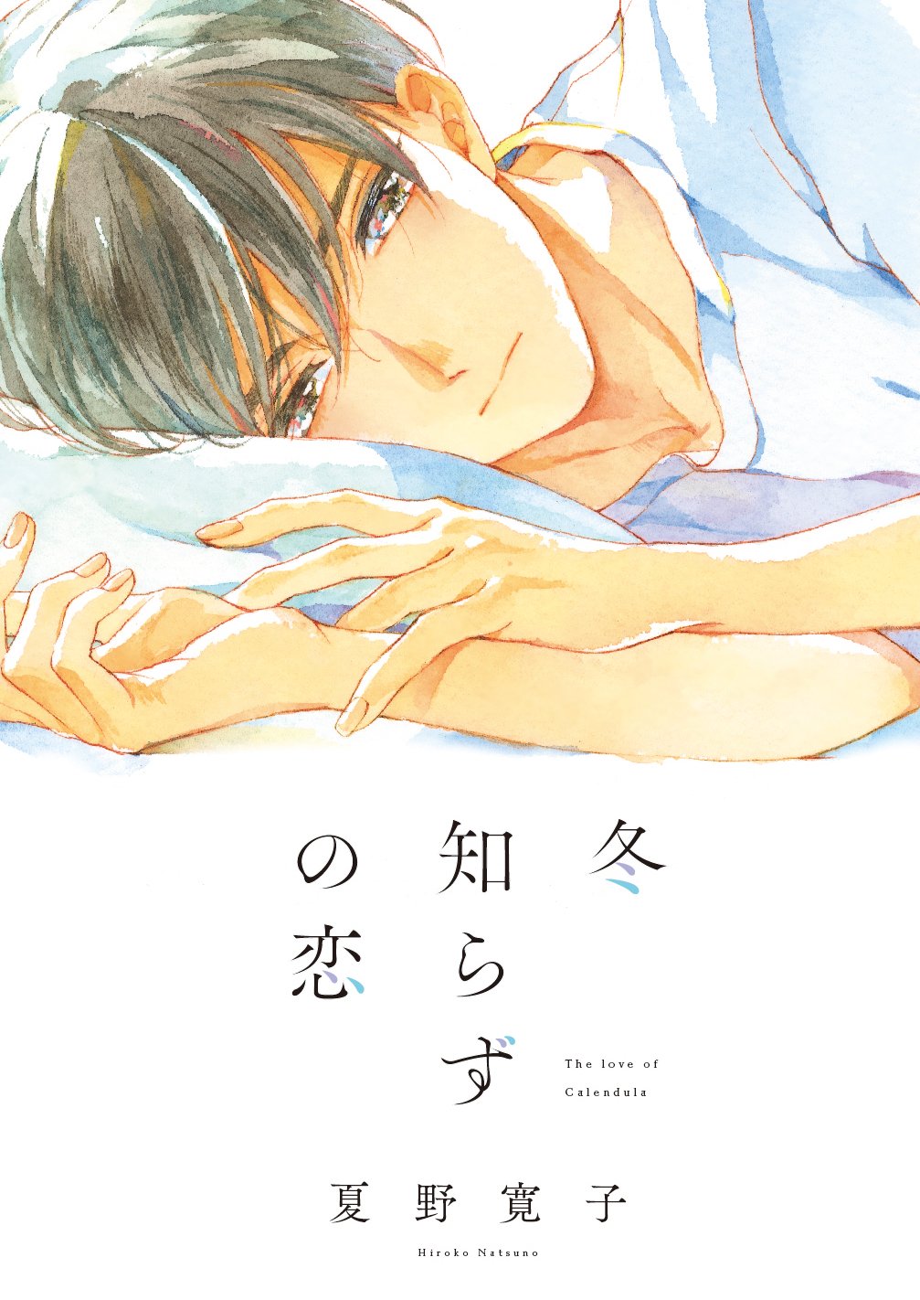 冬知らずの恋 (Feelコミックス オンブルー) Books