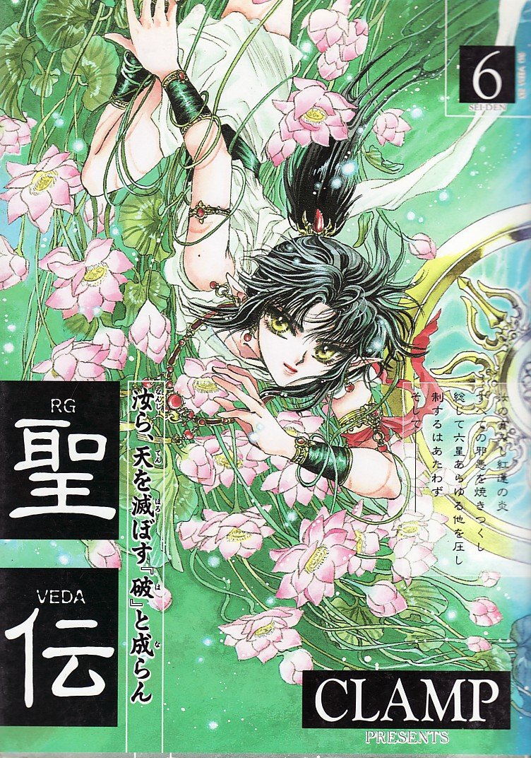 RG VEDA Vol. 6 (Seiden) (in Japanese) book