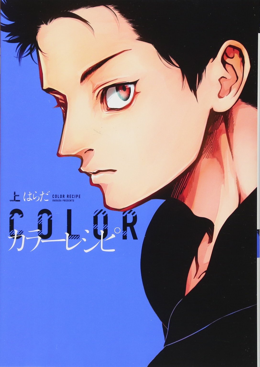 カラーレシピ(上) (ディアプラス・コミックス) book