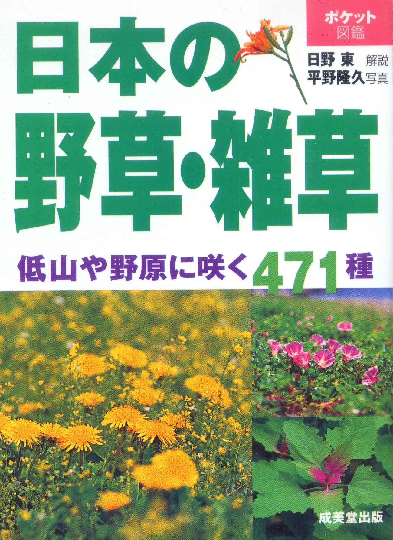 ポケット図鑑 日本の野草・雑草 Books