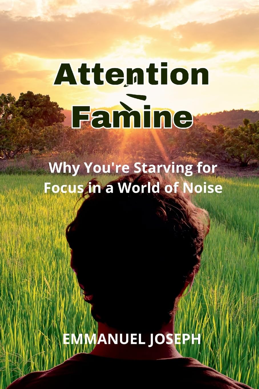 Attention Famine, Why You're Starving for Focus in a World of Noise Business, Finance & Career