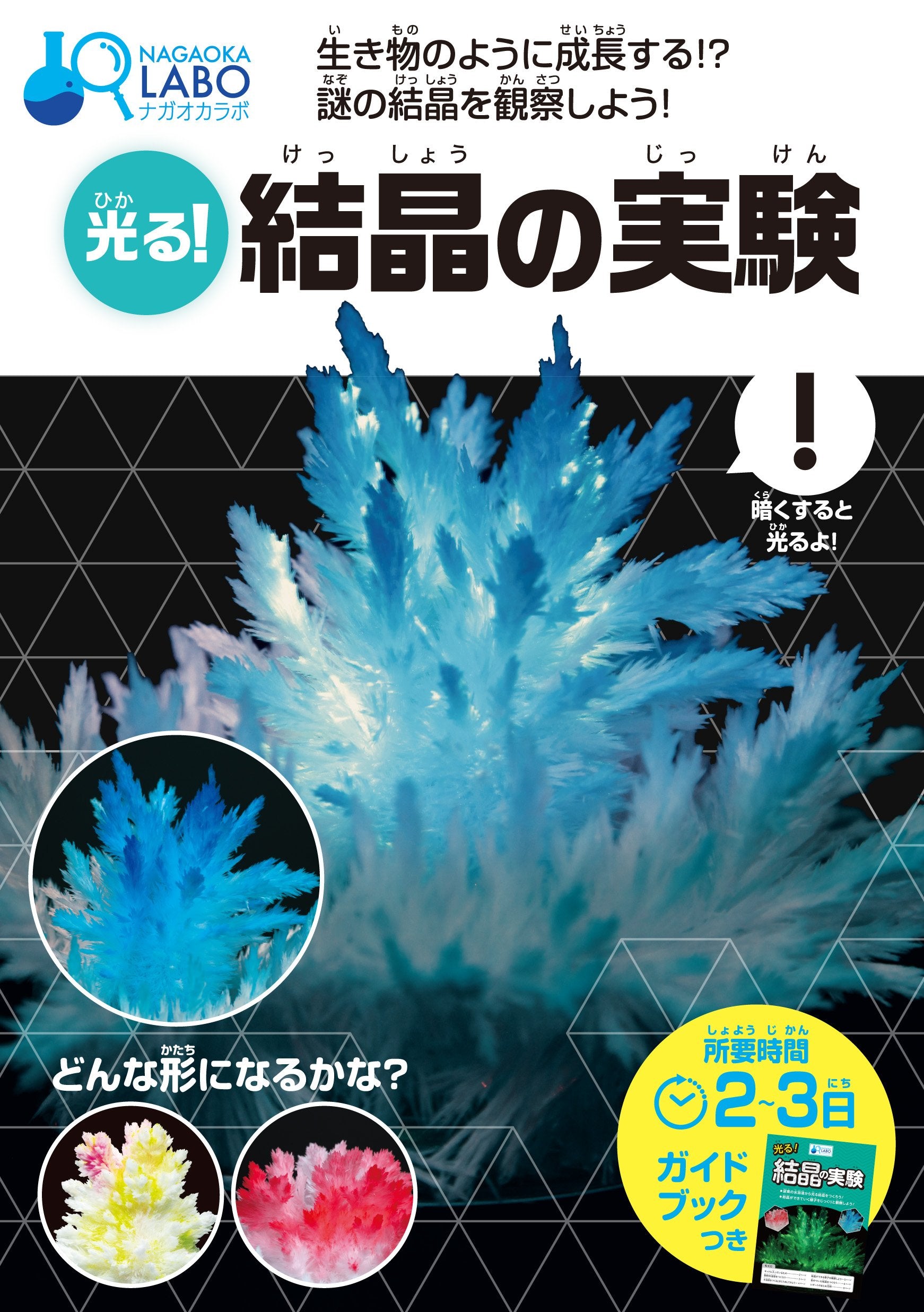 光る! 結晶の実験 (NAGAOKA LABO) Books