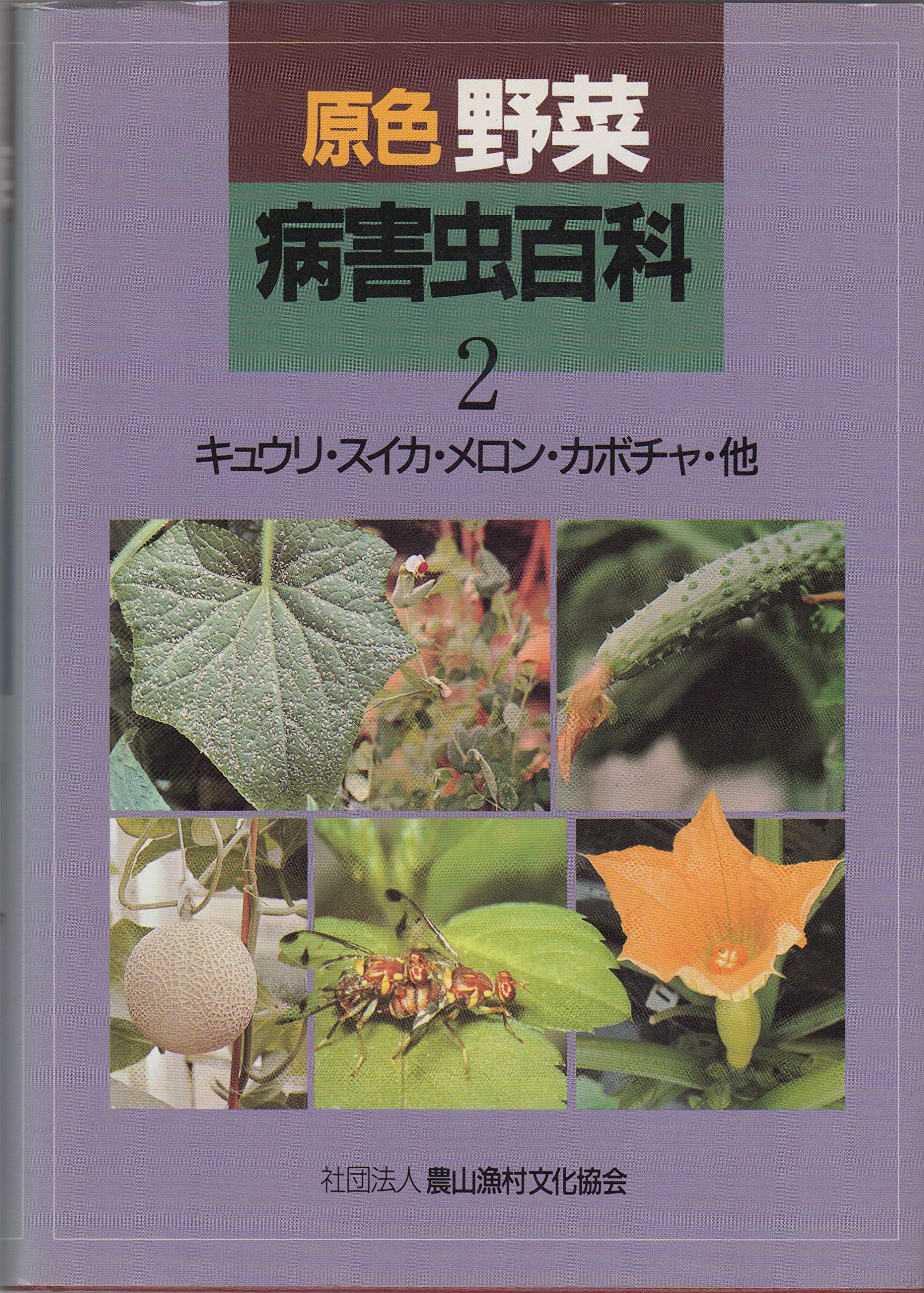 原色野菜病害虫百科―診断と防除 (2) Books