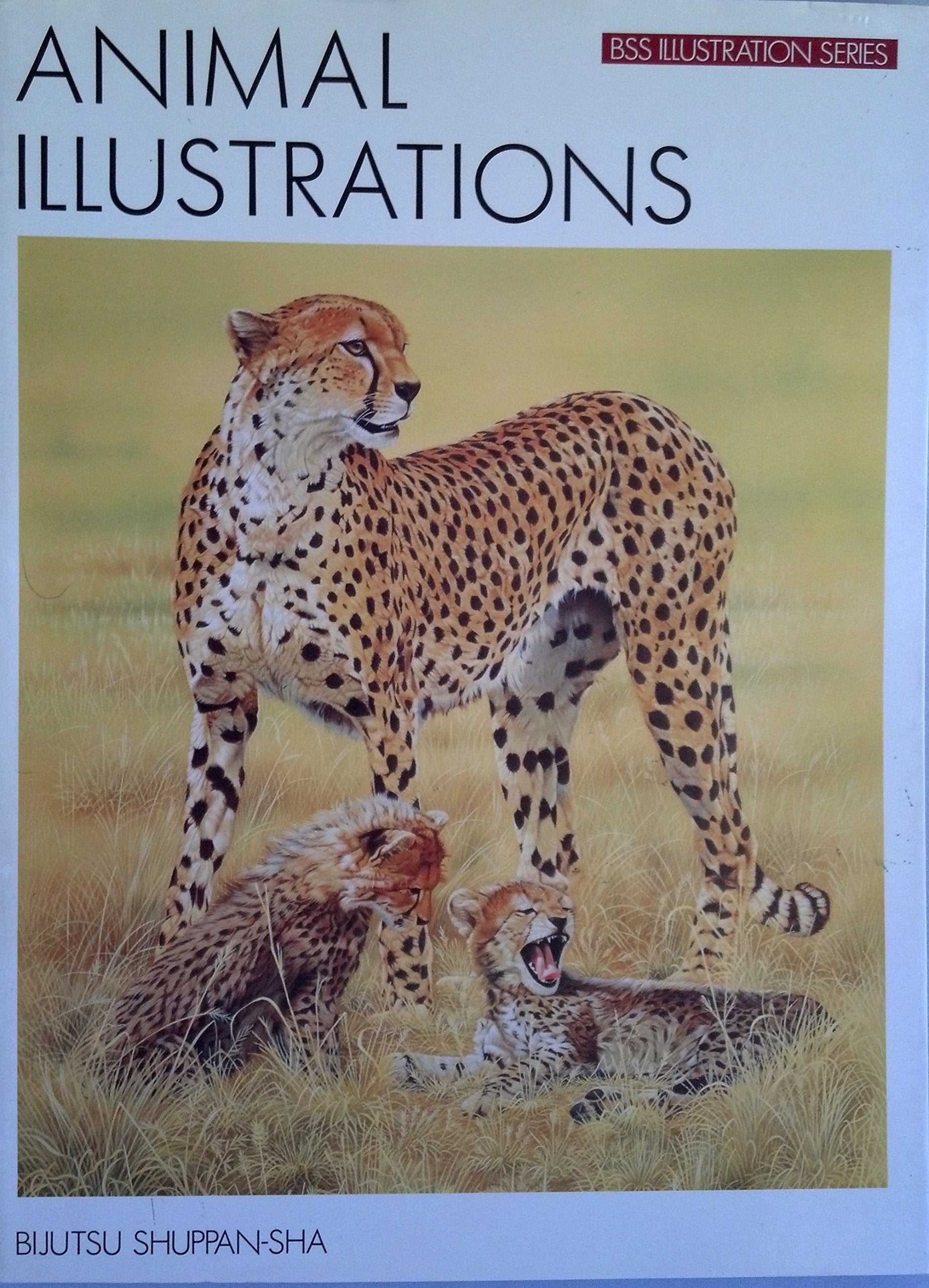 Animal Illustrations (Bss Illustration Series) Arts & Music