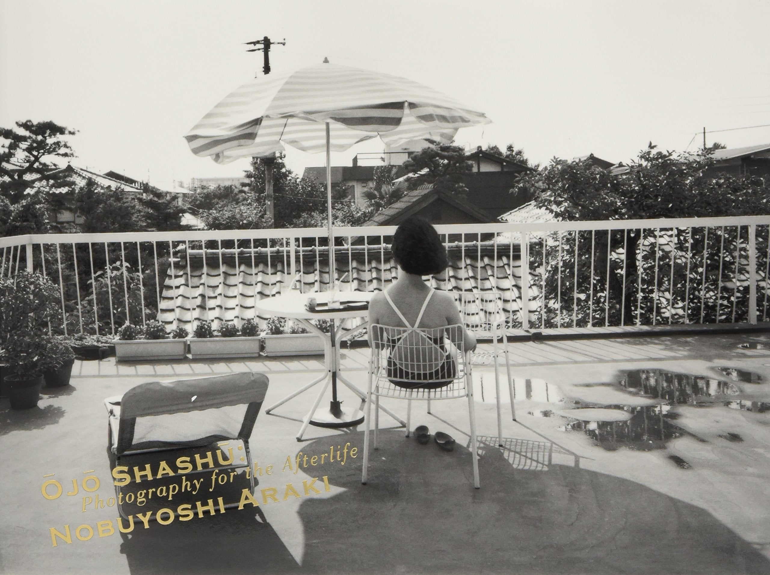 Nobuyoshi Araki - Photography for the Afterlife Photography