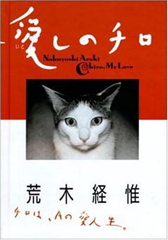 Chiro My Love Travel