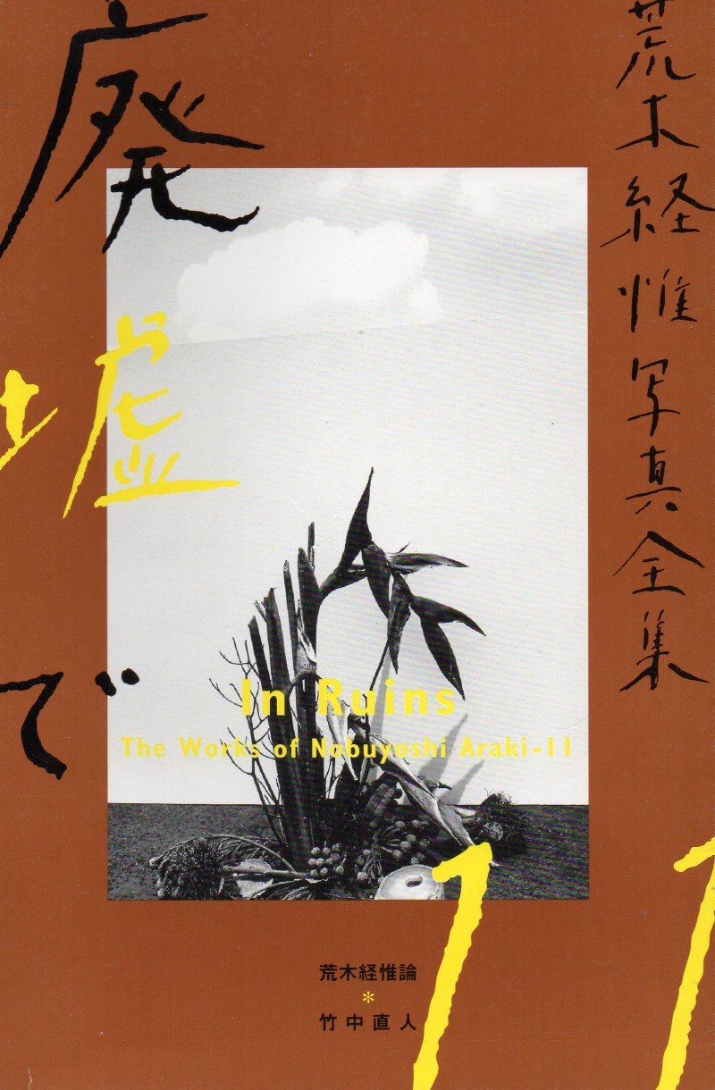 In Ruins (v. 11) (Works of Nobuyoshi Araki) Photography