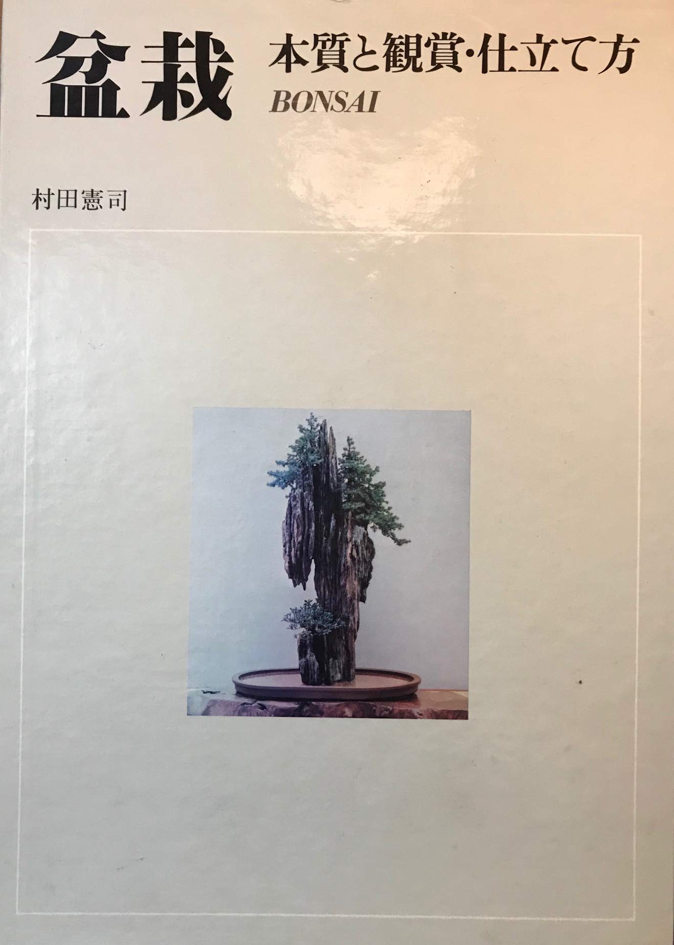 盆栽 Books