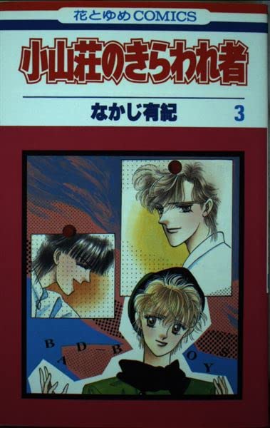 小山荘のきらわれ者 3 (花とゆめCOMICS) Books