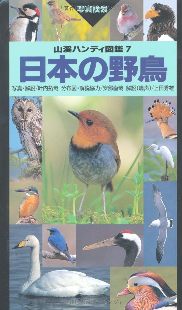 日本の野鳥 (山渓ハンディ図鑑) Books