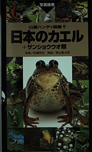 日本のカエル+サンショウウオ類 (山渓ハンディ図鑑) Books