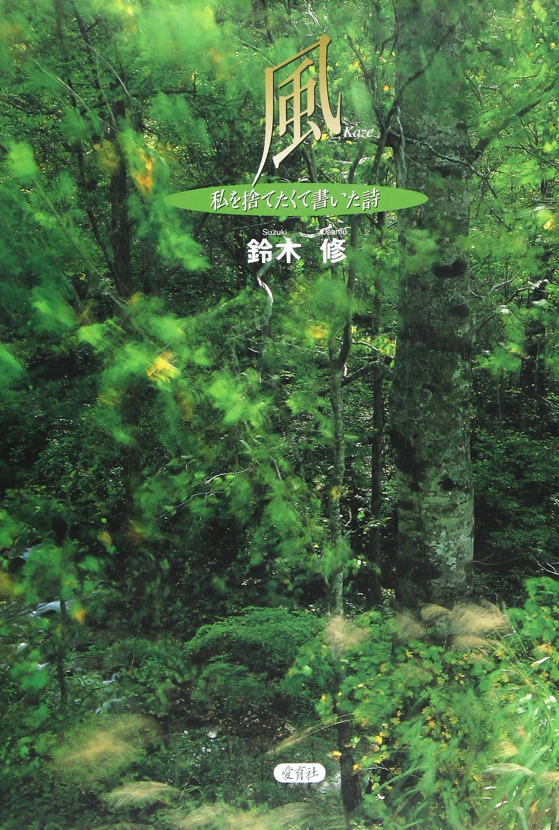 風―私を捨てたくて書いた詩 Books