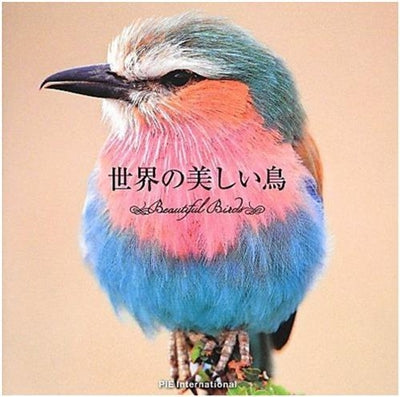 Product Image: Beautifuls Birds