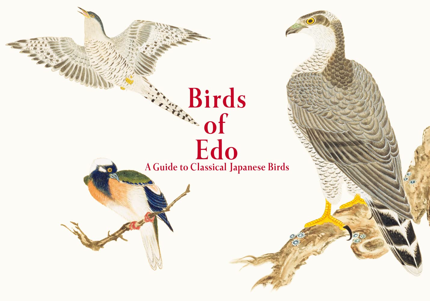 Birds of Edo: A Guide to Classical Japanese Birds (Pie EDO Nature Illustration) Film, Art & Culture