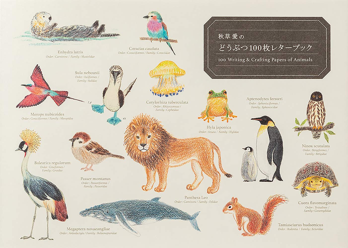 100 Writing & Crafting Papers of Animals: Book with 2 Stories and Gilbert Plush Toy (Pie 100 Writing & Crafting Paper) Film, Art & Culture