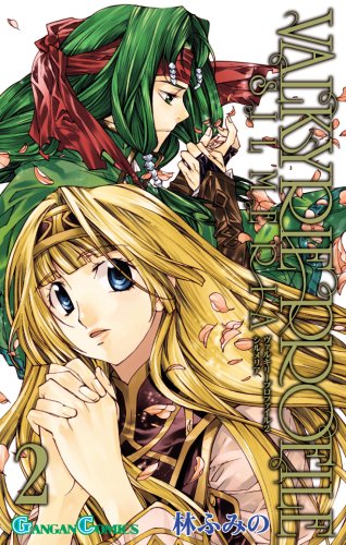 ヴァルキリープロファイル2-シルメリア 2 (2) (ガンガンコミックス) Books