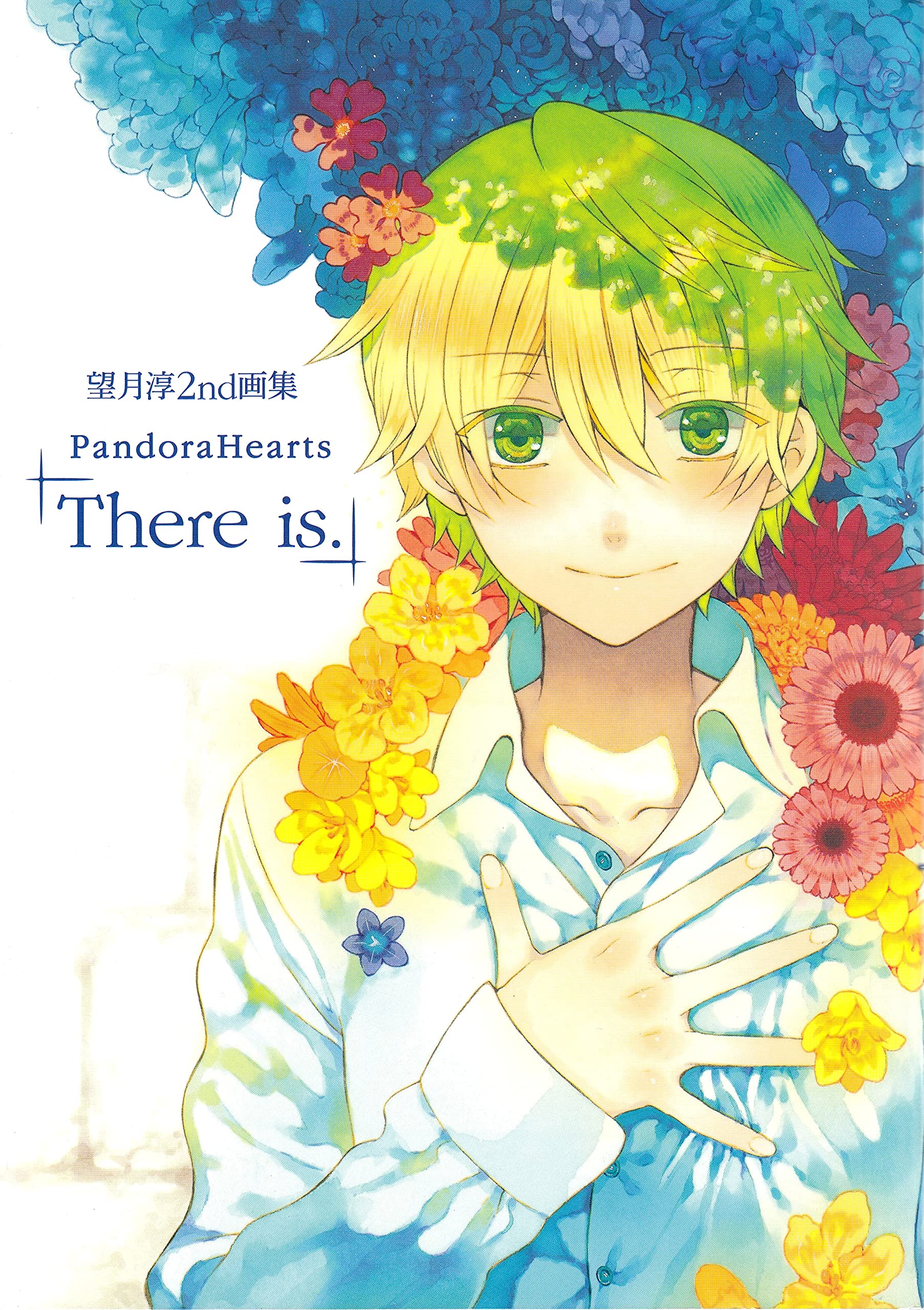 PANDORA HEARTS (ARTBOOK VO JAPONAIS) Books