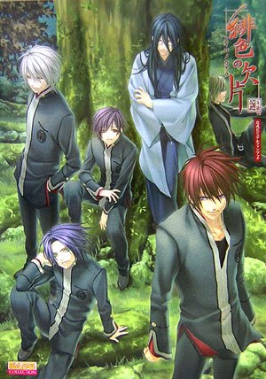 緋色の欠片 公式ビジュアルファンブック (B's-LOG COLLECTION) Books