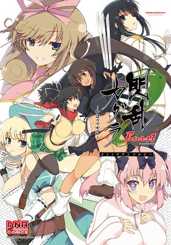 閃乱カグラBurstー紅蓮の少女達ーコミックアンソロジー (IDコミックス DNAメディアコミックス) Books