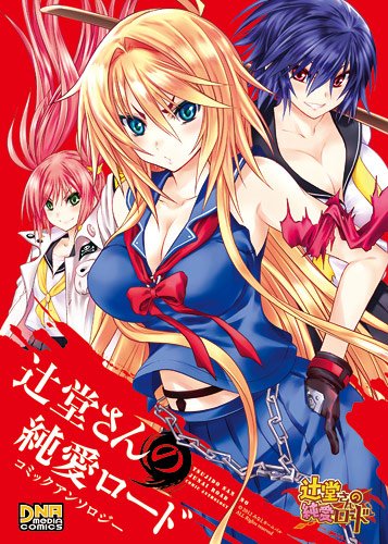 辻堂さんの純愛ロードコミックアンソロジー (IDコミックス DNAメディアコミックス) Books