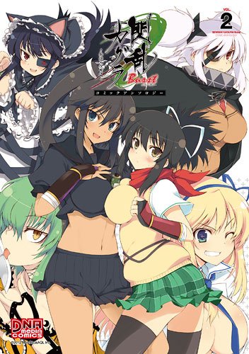 閃乱カグラBurstー紅蓮の少女達ーコミックアンソロジー 2 (IDコミックス DNAメディアコミックス) Books