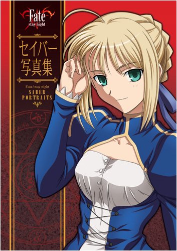 Fate/stay night セイバー写真集 book