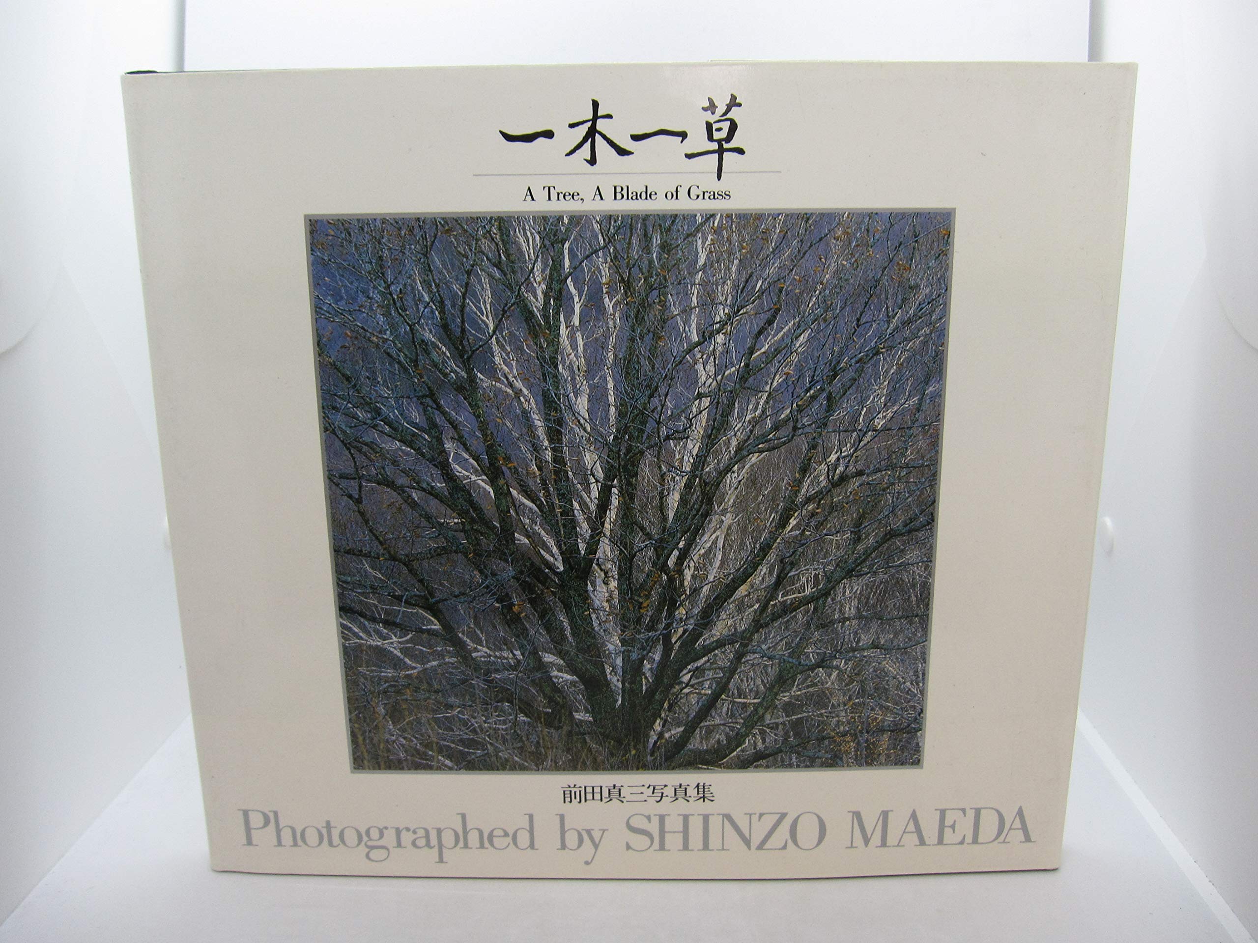 Product Image: Tree a Blade of Grass