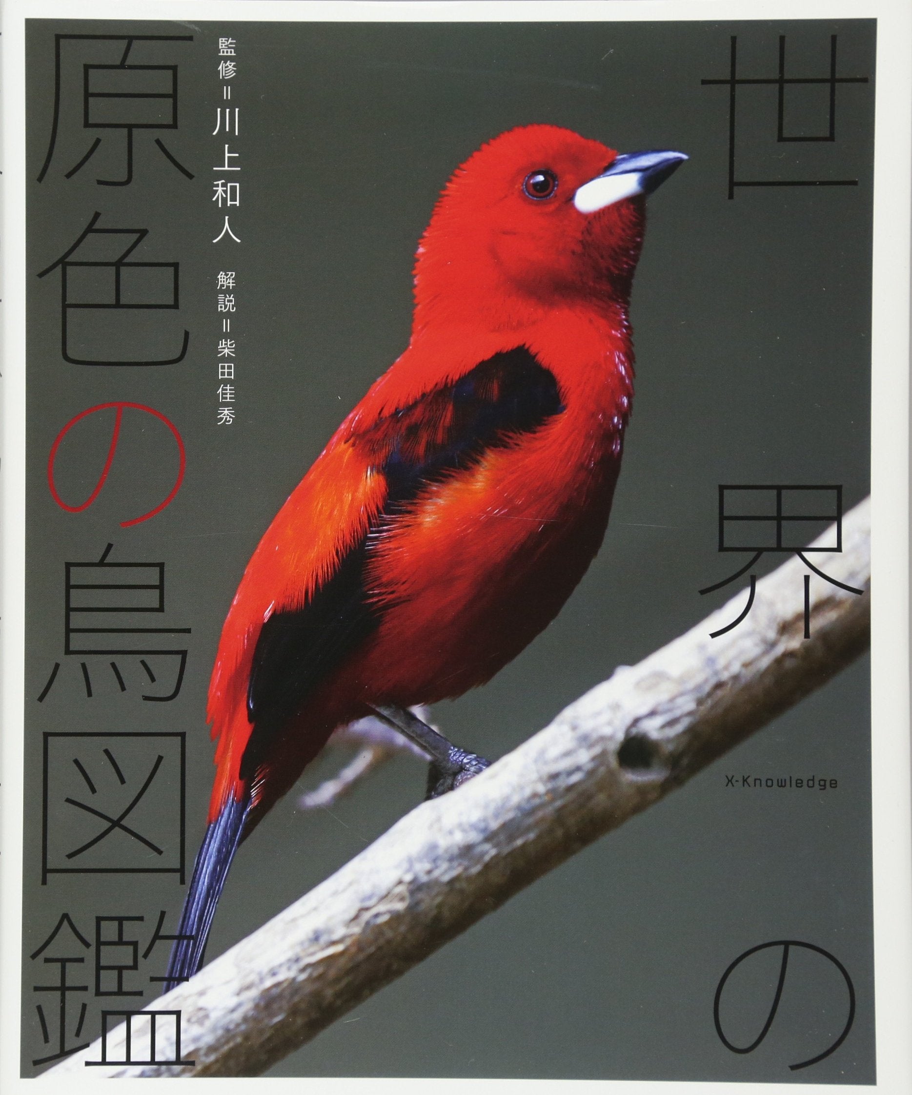 世界の原色の鳥図鑑 Books