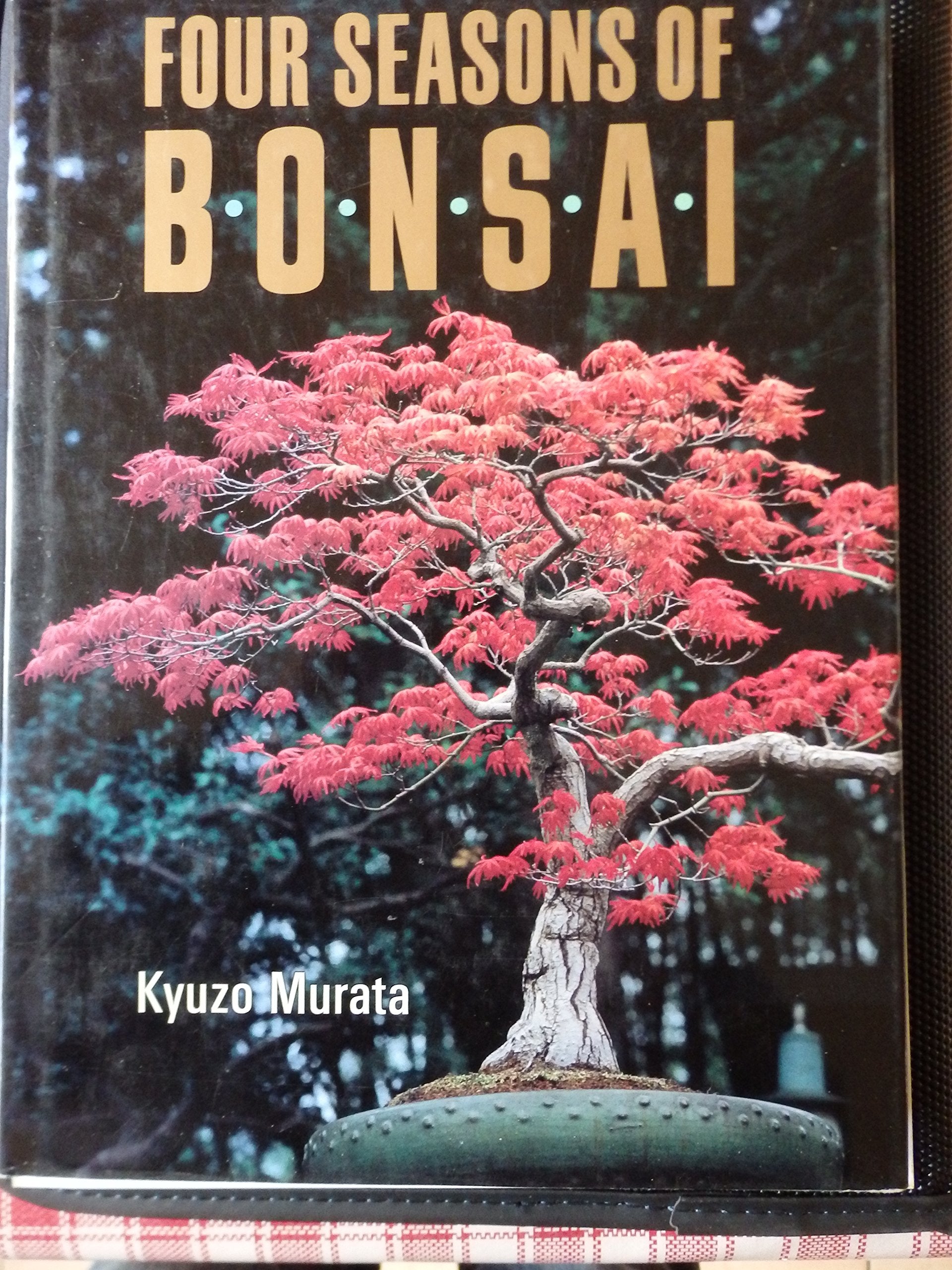 Four Seasons of Bonsai Garden & Plants