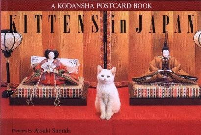 Kittens in Japan: A Kodansha Postcard Book (Kodansha postcard books) Pets