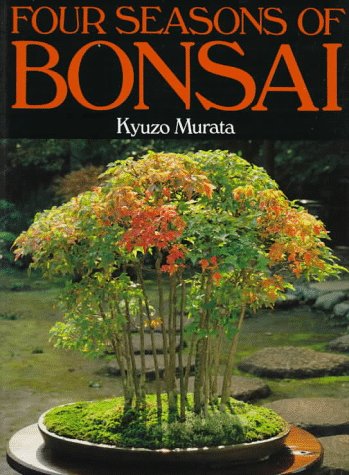 Four Seasons of Bonsai Garden & Plants