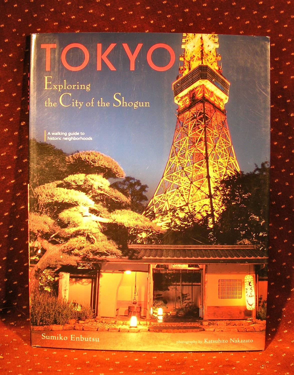 Tokyo: Exploring the City of the Shogun Photography