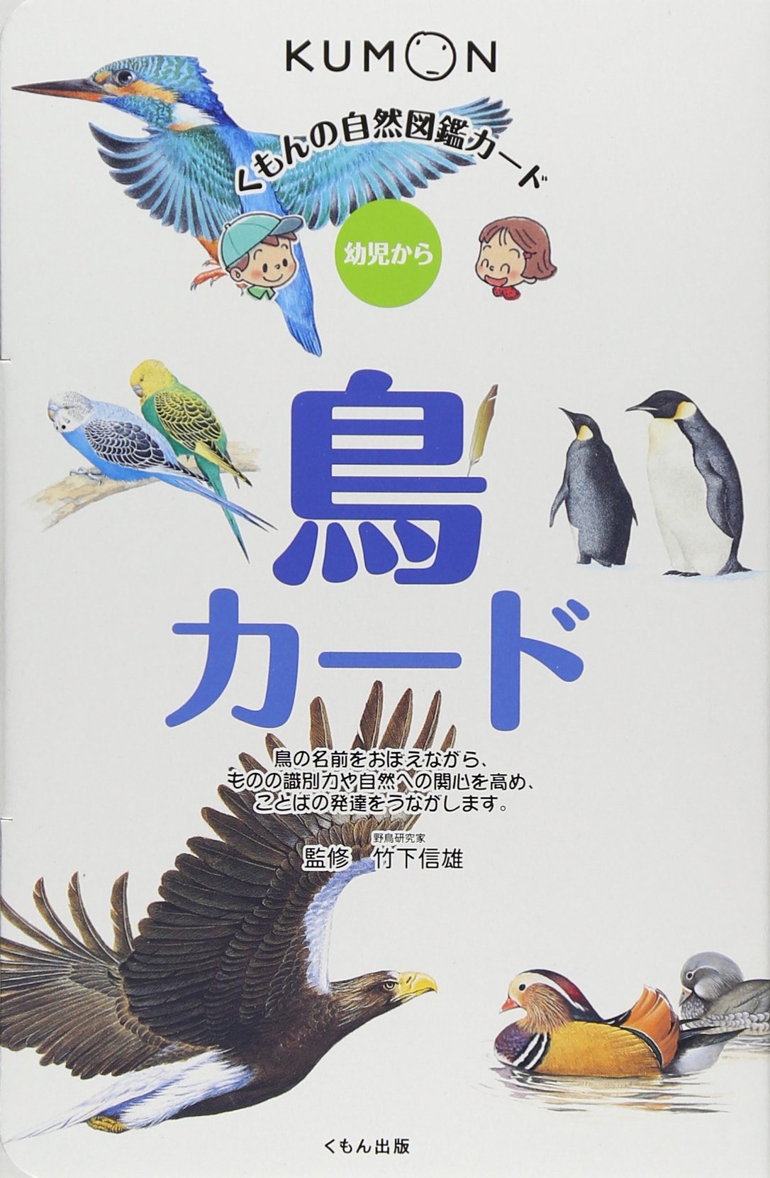 鳥カード (くもんの自然図鑑カード) Books