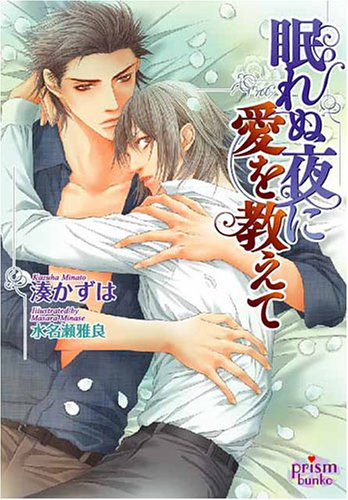 眠れぬ夜に愛を教えて (プリズム文庫) book
