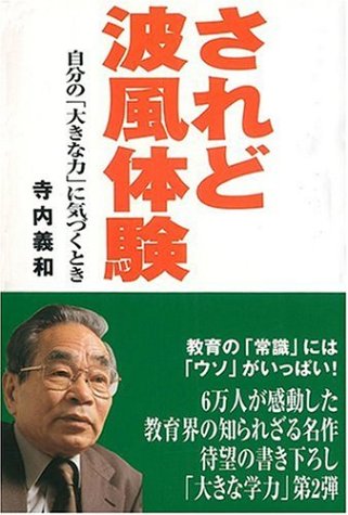 されど波風体験―自分の「大きな力」に気づくとき Books