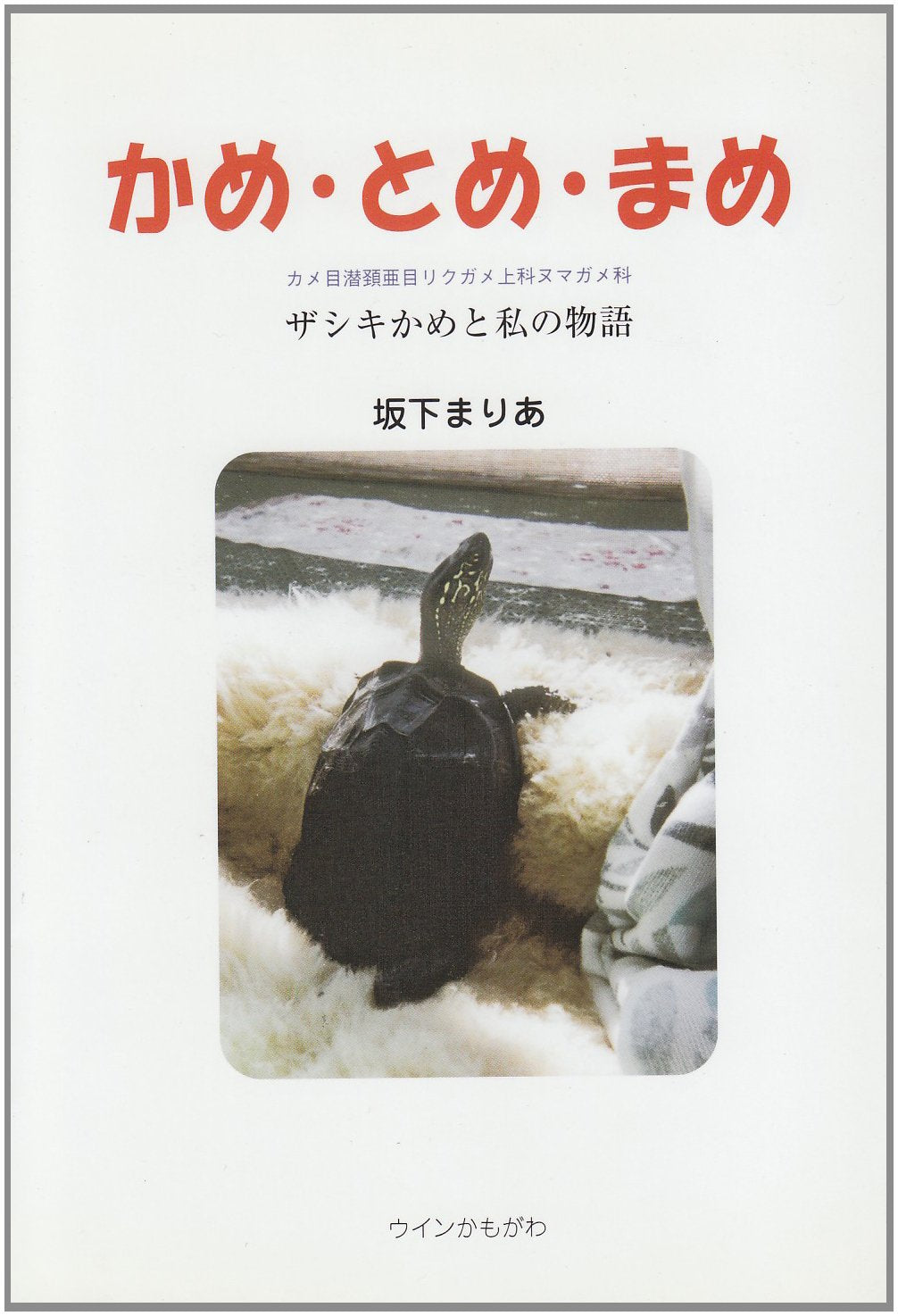 かめ・とめ・まめ―ザシキかめと私の物語 Books