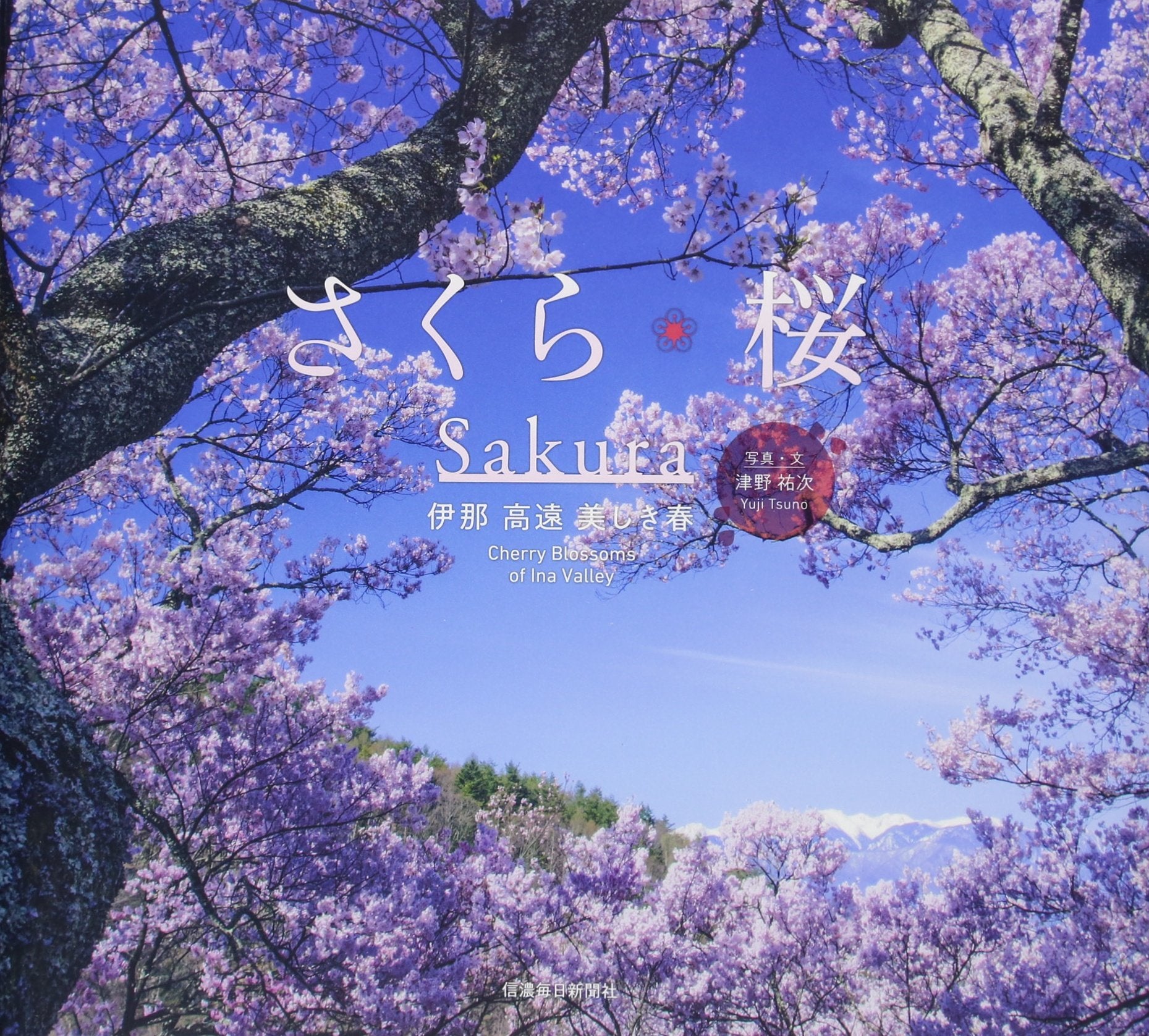 Sakura: Cherry Blossoms of Ina Valley Social Sciences