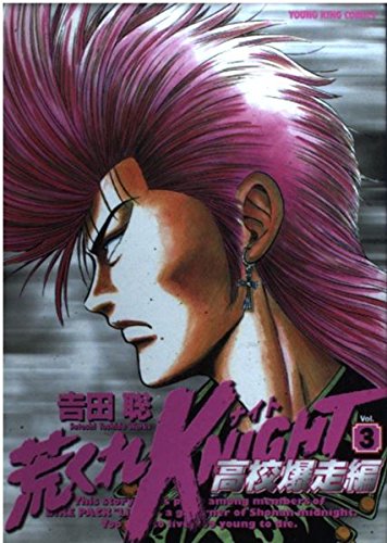 荒くれKNIGHT 高校爆走編 3 (ヤングキングコミックス) Books