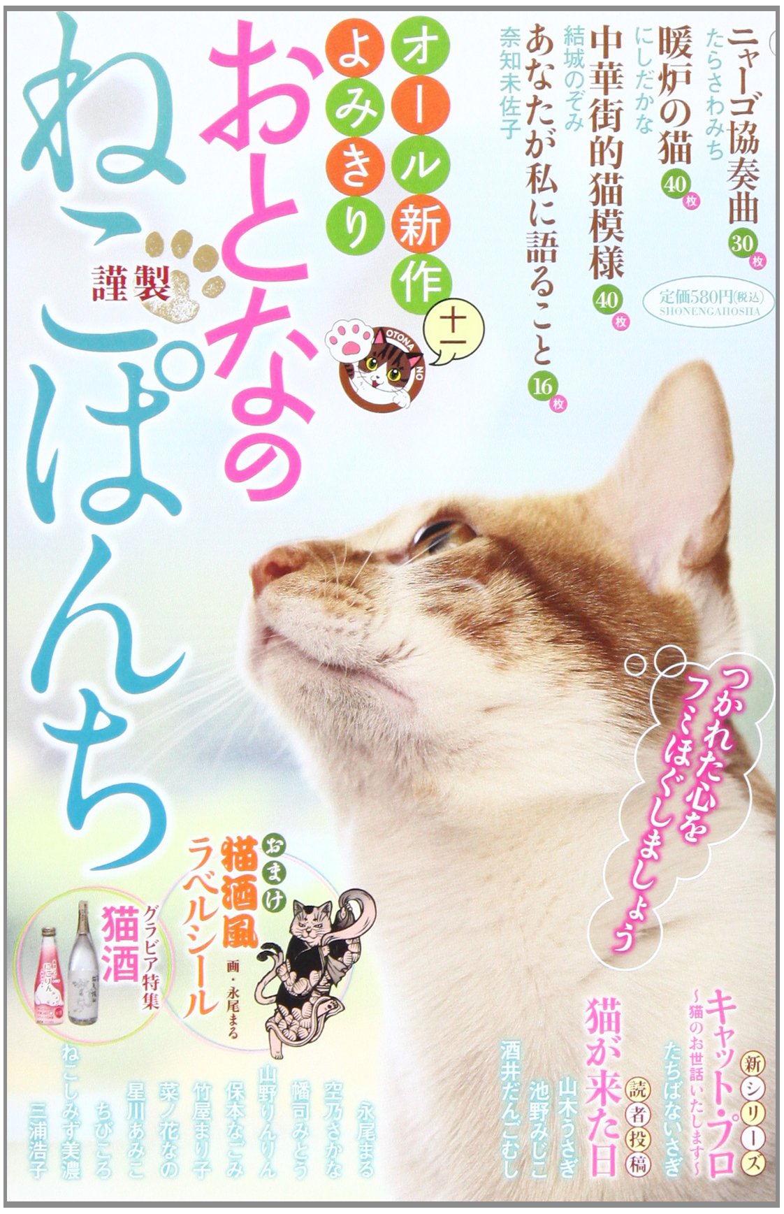 おとなのねこぱんち 11 (にゃんCOMI廉価版コミック) book