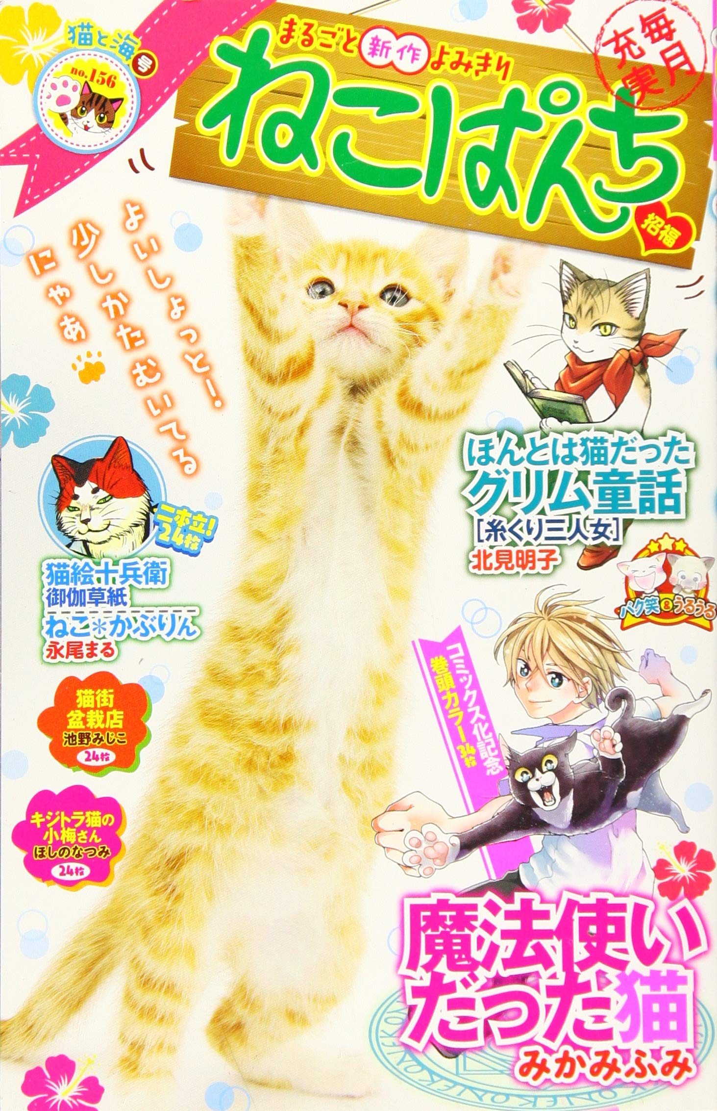 ねこぱんち 猫と海号 (にゃんCOMI) Books