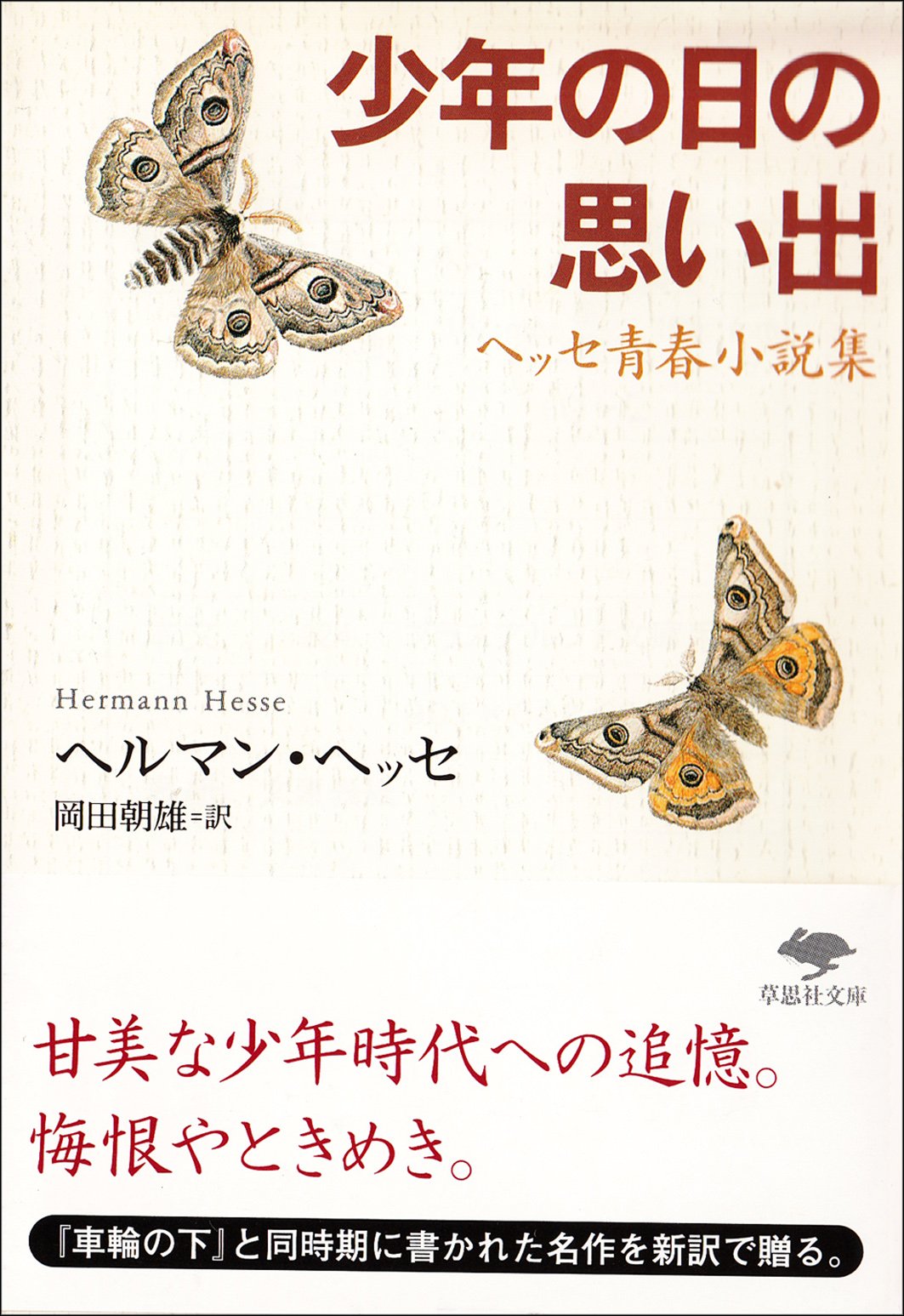 文庫 少年の日の思い出 (草思社文庫) Books