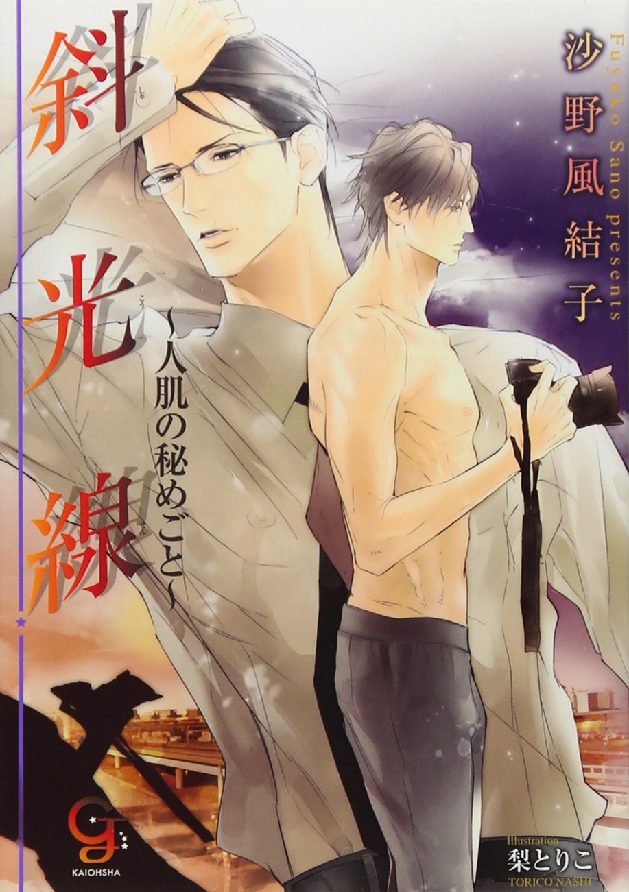 斜光線 ~人肌の秘めごと~ (ガッシュ文庫) book