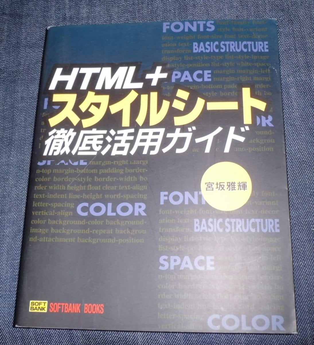 HTML+スタイルシート徹底活用ガイド (SOFTBANK BOOKS) Books