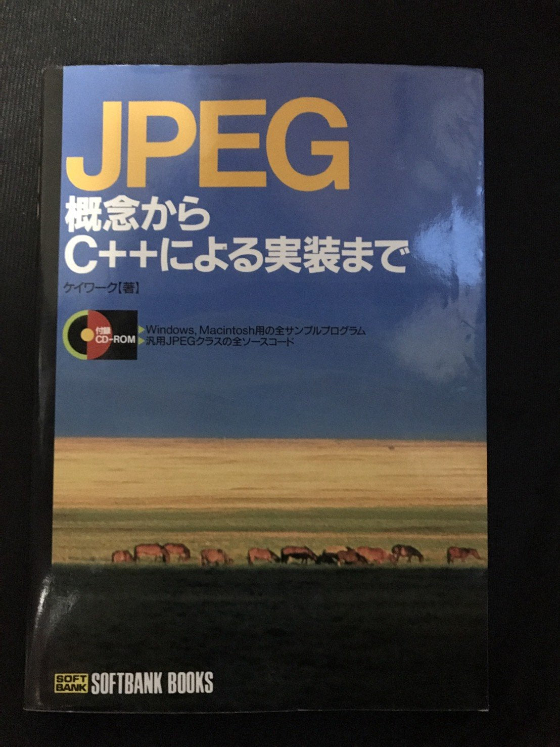 JPEG―概念からC++による実装まで (SOFTBANK BOOKS) Computer Science