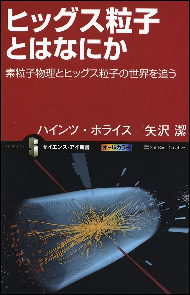 Higgusu ryushi towa nanika : Soryushi butsuri to higgusu ryushi no sekai o o. book