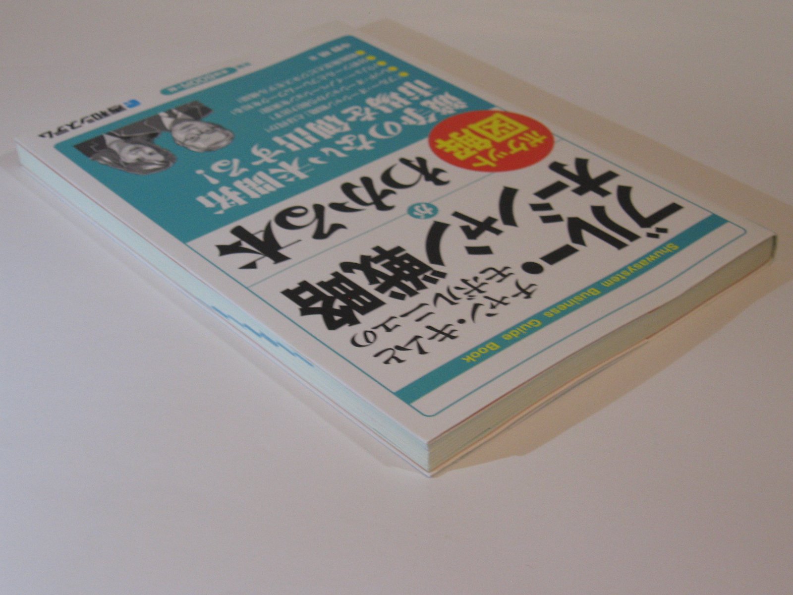 ブルー・オーシャン戦略がわかる本 (Shuwasystem Business Guide Book) Books